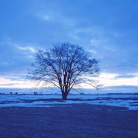 冰天雪地风景qq头像独树一帜