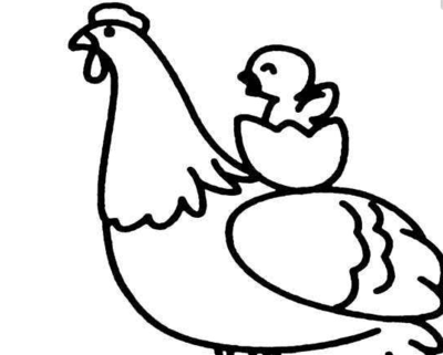 小鸡和母鸡儿童画图片_ 小鸡和母鸡儿童绘画图