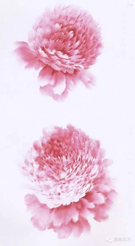 牡丹 雍鸣老师讲如何 画牡丹 手 画的 牡丹 相关搜索 怎样画牡丹花头