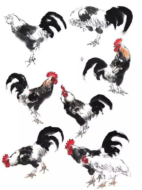 中国画中鸡的各个部分画法学习