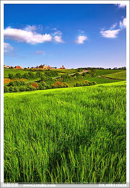 搜索 莲花池 风景图片下载 风景图片 _ 景物/风景 风景图片图片素材