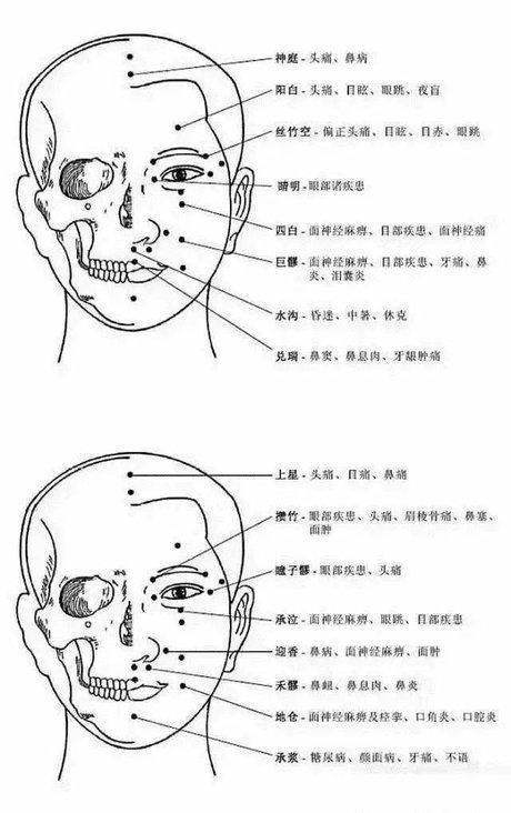 人体头部23个穴位分布图(附主治功效)