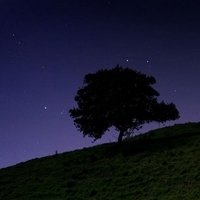 光影风景 微信头像 美景万象_ 微信头像图片大全