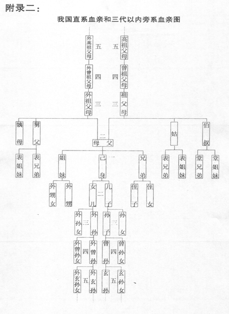 我国 直系血亲和三代以内旁系血亲图