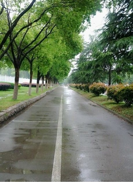 荆楚理工学院 湖北医药学院 黄冈师范学院 襄阳职业技术学院 湖北科技