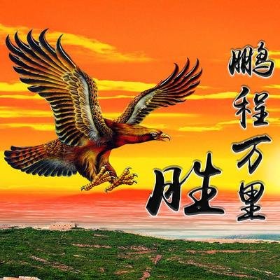 鹏程万里, 雄鹰展翅,162个名字,你的微信头像该