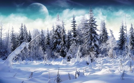 冰天雪地