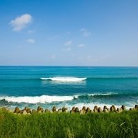 qq头像海边风景