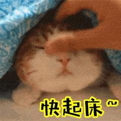 快起床gif 动态图_快起床表情包_快起床gif动