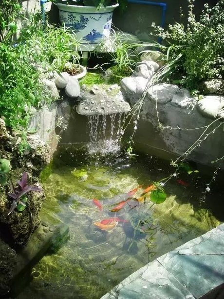 史上最强阳台鱼池建造全过程(自制超强过滤系统)