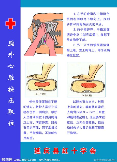 胸外心脏按压姿势图