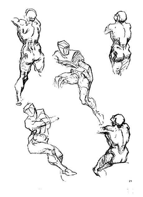 伯里曼人体结构绘画教学 伯里曼人体 插画人体结构 素描人体结构 人体