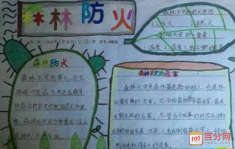 关于森林防火手抄报