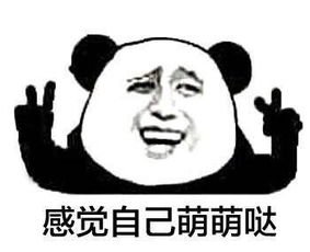 金馆长熊猫无字表情包-在线图片欣赏