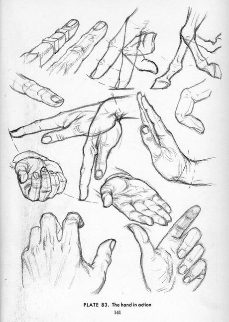 手的画法--小孩女人成人的手,素描关系,结构   火星网-中国数字艺术第
