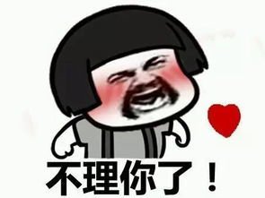 不想理你表情包