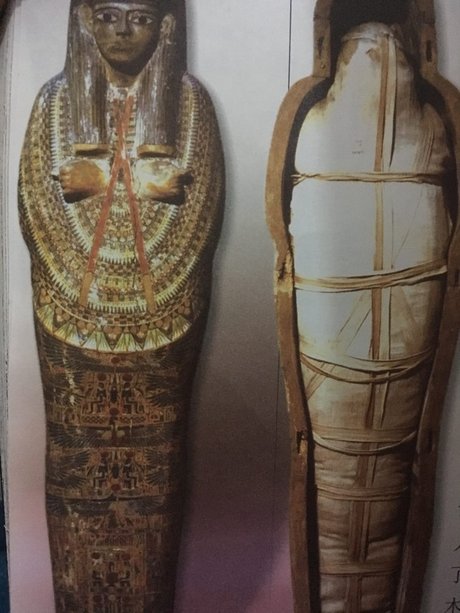 英格兰伦敦大英博物馆埃及木乃伊 相关搜索 埃及法老 埃及木乃伊复活
