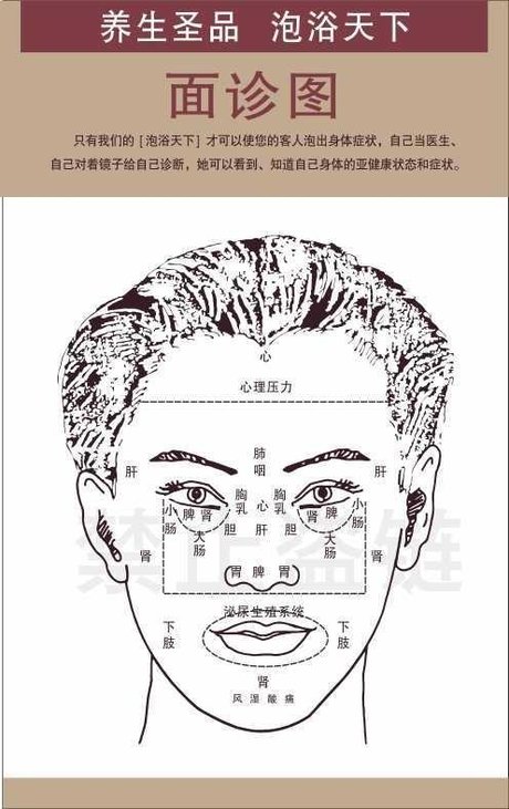 面诊图 面诊图解 面部五脏图 脸部反射区 面诊五官看健康图 面诊口诀