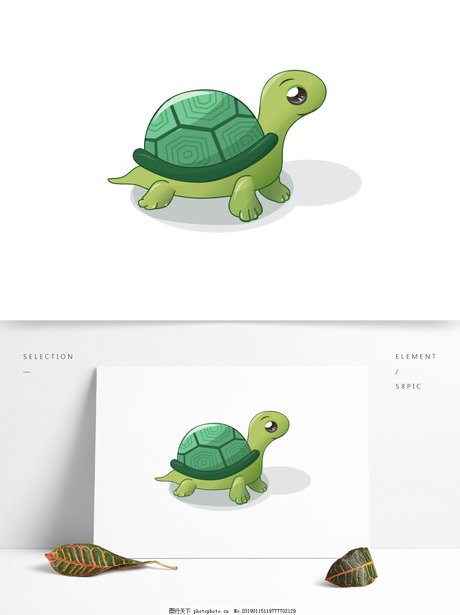 乌龟卡通图片