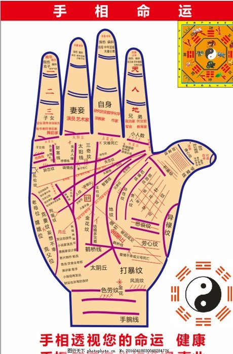 手上三条线代表什么 掌纹图解 手掌纹 手掌掌纹图解 看手掌纹算命图解