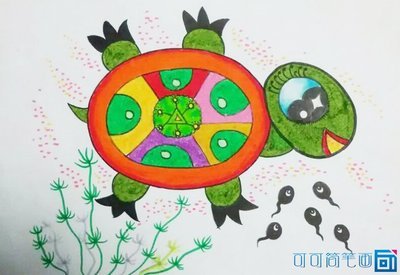 快乐的小 乌龟儿童画优秀作品