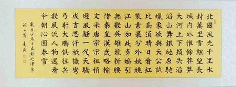 沁园春 雪