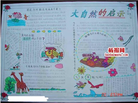感恩 大自然手抄报
