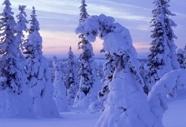 图片桌面壁纸高清大 2018年2月唯美凛冬 雪景图片高清日历壁纸高清