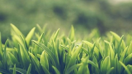 保护眼睛的桌面壁纸_360图片
