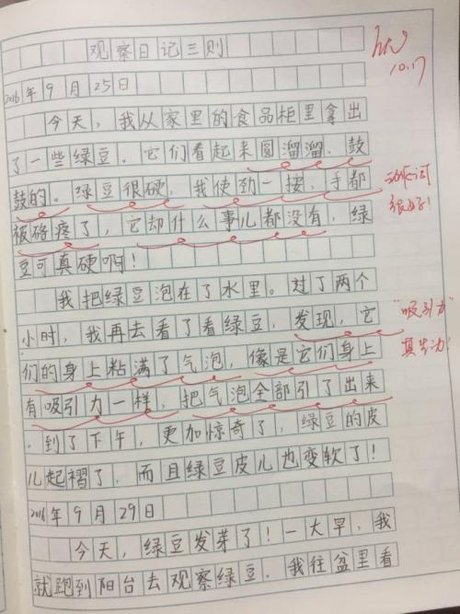 四年级作文观察 日记400字大全