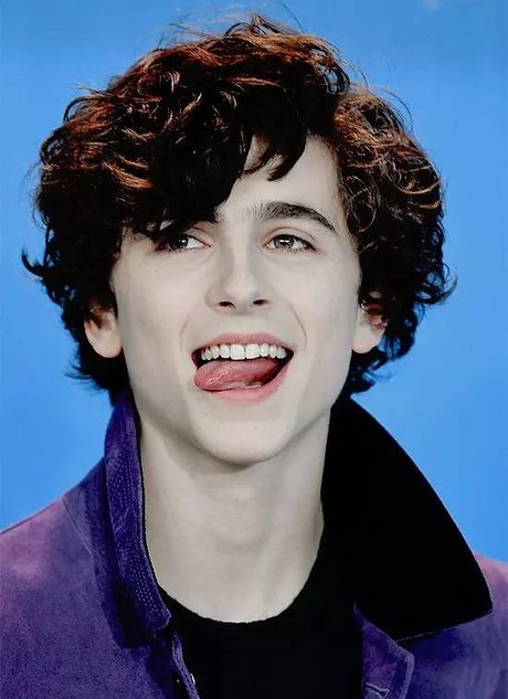 提莫西·查拉梅timothée chalamet