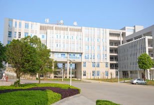 湖北大学知行学院 武汉工程大学 重庆医科大学 湖北商贸学院