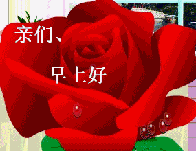 微信早上好表情包_360图片