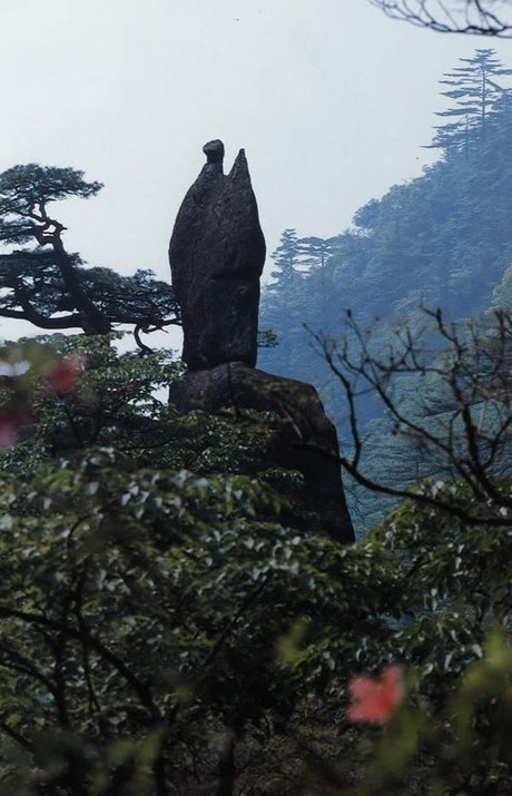 黄山奇石 图片仙人指路