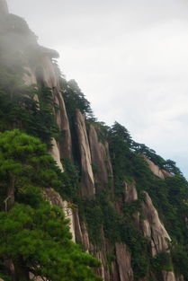 爬天都峰