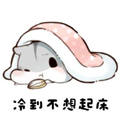 好冷的图片_360图片
