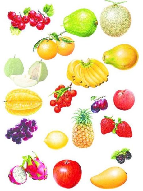 相关搜索 水果大全 水果大全名字 水果种类名字大全 水果名字大全