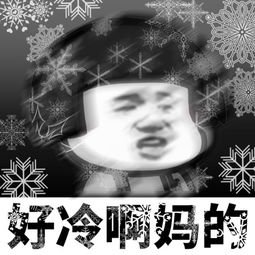 好冷的表情包 下雪小朋友好冷的 我的良心好冷表情包 gif 今天好冷