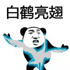 热门表情包金馆长表情包