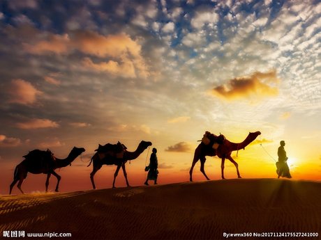 夕阳下的骆驼行人桌面壁纸摄影图__自然风景_旅游摄影_摄影图库_昵图