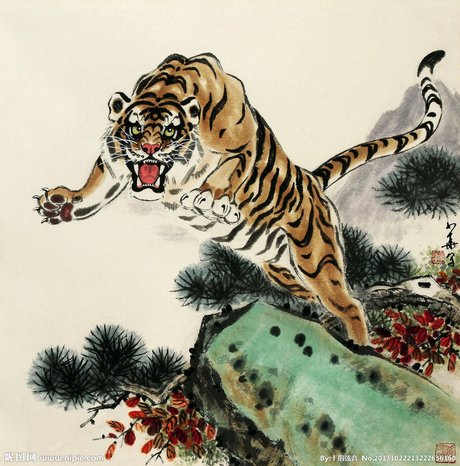 印度孟加拉虎西伯利亚虎 相关搜索 老虎, 老虎獠牙 老虎脚 老虎张嘴