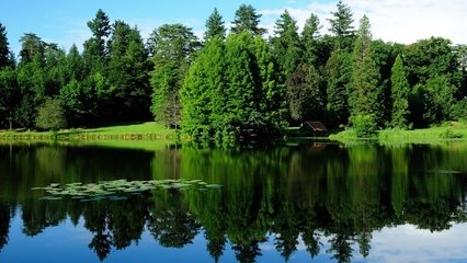 清澈湖水与绿色树林护眼高清壁纸_动物植物_电脑壁纸_91主题之家