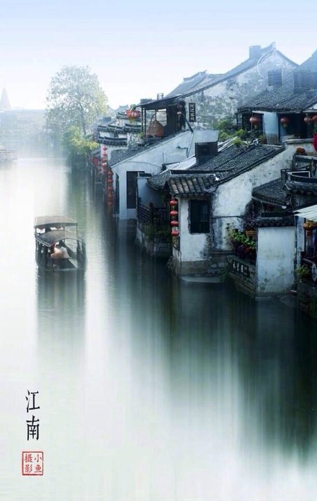 江南女子 桃花坞 听雨楼 桃花雨 古韵 烟波 唯美动态江南烟雨中图片