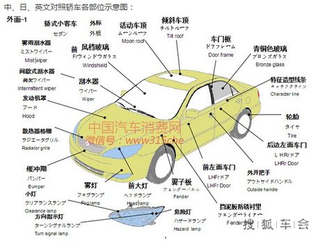 脸部部位名称图 360图片