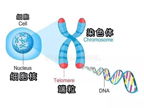 360图片