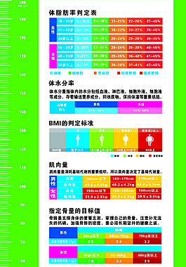 脂肪率 360图片