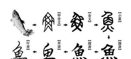 鱼的汉字演变过程图 360图片
