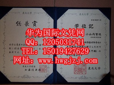 茨城女子短期大学 360图片