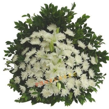 丧礼菊花图片 360图片