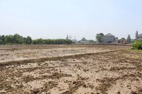 表土 360图片